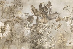 Grafika Lorenso Noctiflor TPA 1123 0014 02