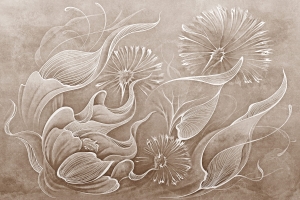 Grafika Lorenso Seedelia TPA 1123 0011 00