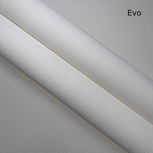 Evo.jpg