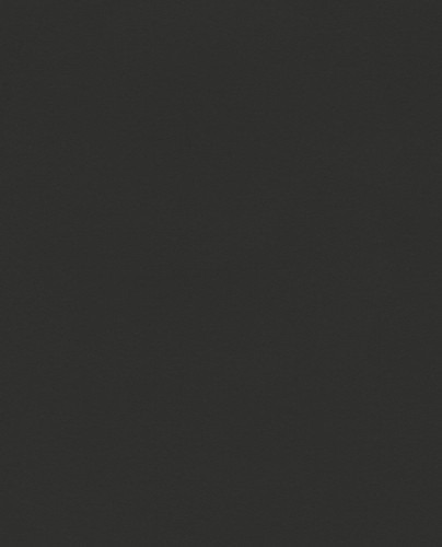 Eijffinger Black&amp;Light 356190