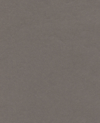 Tapeta Eijffinger Black&Light 356194