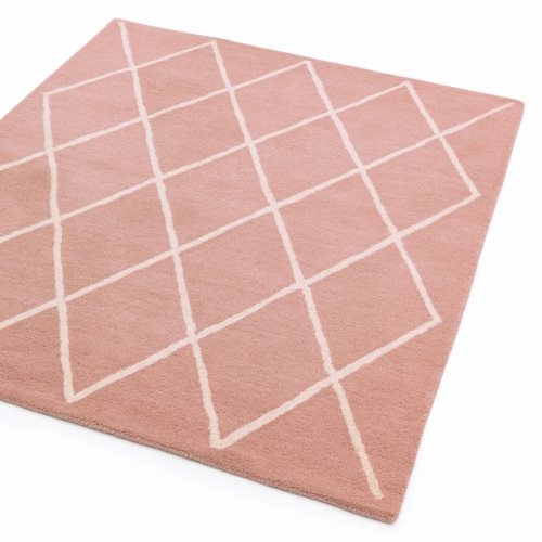 Asiatic Albany Diamond Pink