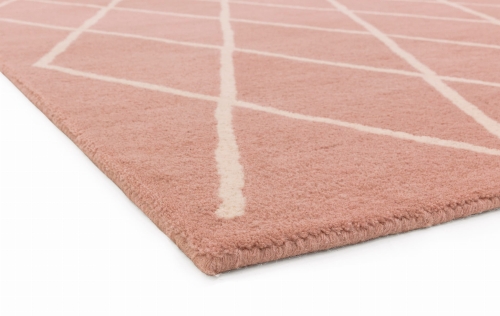 Asiatic Albany Diamond Pink