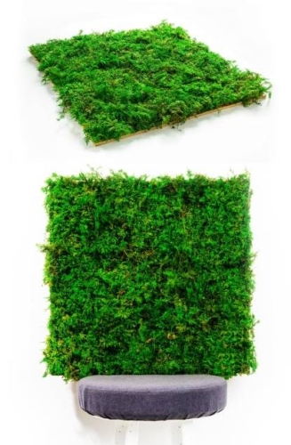 Panel-z-mchu-paprociowego.jpg
