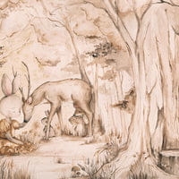 Wall Art Grafika Bambi