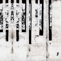 Wall Art Grafika Forte