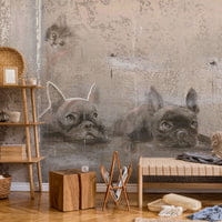 Siesta_wiz_sq_a5cb4a40-8f48-4b26-ae24-79e0aa920ae2_200x200_crop_center.jpg