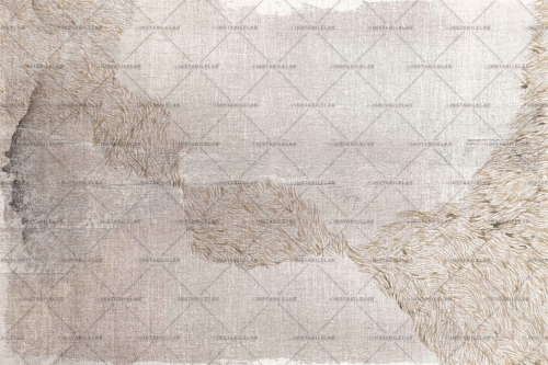 DOMINGA-VAR-01-30x20-100dpi-rgb-scaled.jpg