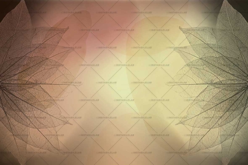 DHARMA-VAR-01-30x20-100dpi-rgb.jpg