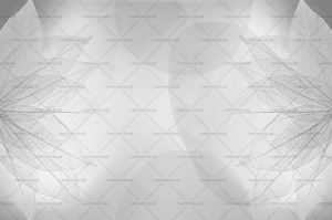 Grafika Instabilelab Remember me DHARMA 02