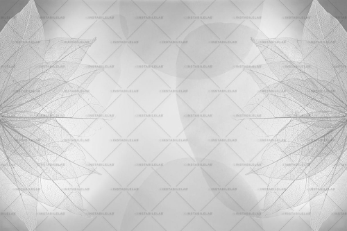 DHARMA-VAR-02-30x20-100dpi-rgb.jpg