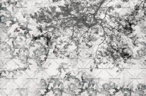 Grafika Instabilelab Sfumature di Magnolia SHADOW 02