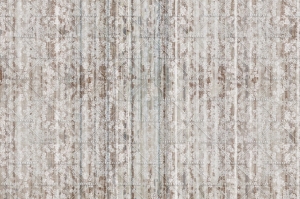 Grafika Instabilelab Sfumature di Magnolia PETITS FLEURS 02