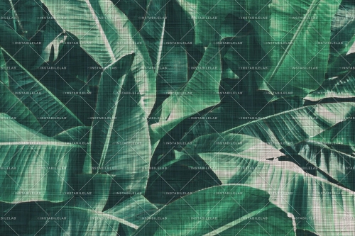 LOTS-OF-GREEN-VAR-01-30X20-100dpi-rgb.jpg