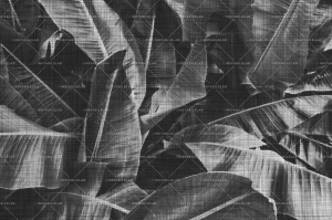 Grafika Instabilelab Sfumature di Magnolia LOTS OF GREEN 02