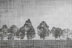 Grafika Instabilelab Sfumature di Magnolia LINDEN TREE 02