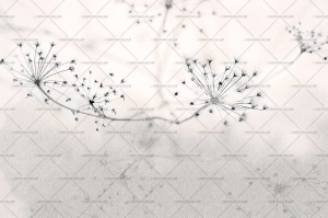 Grafika Instabilelab Sfumature di Magnolia FLOSS 02