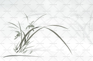 Grafika Instabilelab Sfumature di Magnolia EVANESCENT 02