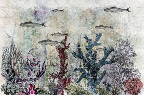 CORAL-VAR-01-30X20-100dpi-rgb.jpg