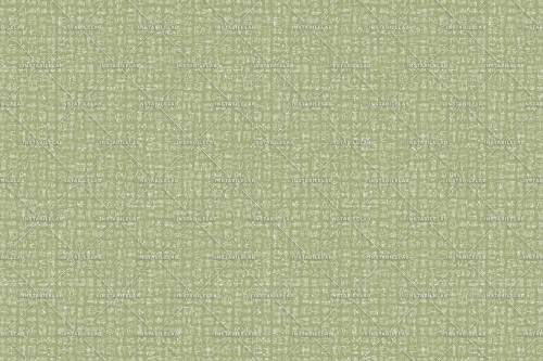 BOTANICA-VAR-02-30X20-100dpi-rgb.jpg