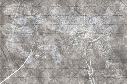 AGED-VAR-02-30X20-100dpi-rgb-1.jpg