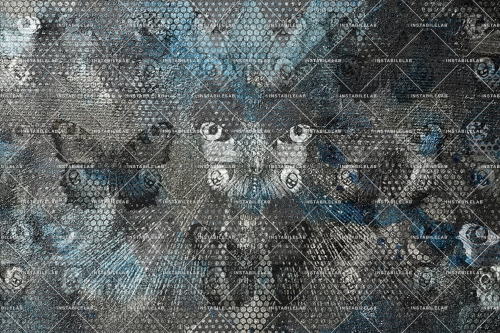 THE-BUTTERFLY-02-30x20-100dpi-rgb.jpg