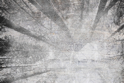 FROM-BELOW-01-30x20-100dpi-rgb.jpg
