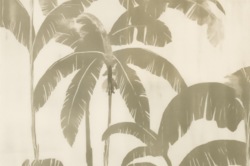 Caraibes SC100.png