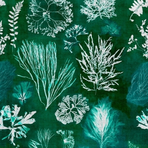 Tapeta MINDTHEGAP Atoll Algae Moss WP20296