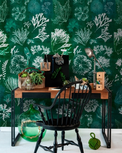 MINDTHEGAP Atoll Algae Moss WP20296