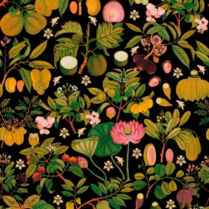 Tapeta MINDTHEGAP Florilegium Asian Fruits and Flowers Anthracite WP20314