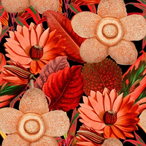 Tapeta MINDTHEGAP Florilegium Water Lilies WP20316