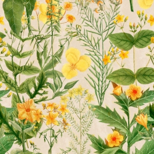 Tapeta MINDTHEGAP Florilegium Mimulus Anthracite WP20323