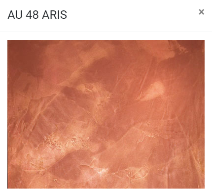 AU 48 ARIS.png