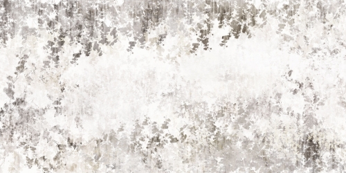 Almond-VP025-2.jpg