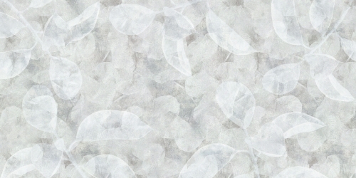 Anima-AP089-1.jpg