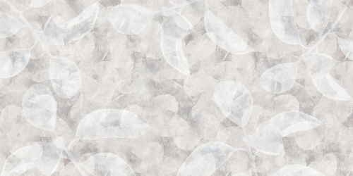 Anima-AP089-2.jpg