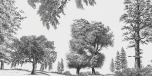 Tapeta RIMURA Arboribus VE080-1
