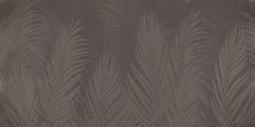 Areca-VE127-5.jpg
