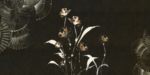 Armonia-AP053-2.jpg
