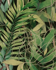 Tapeta MINDTHEGAP Tropical Wanderlust Exotic Garden WP20515