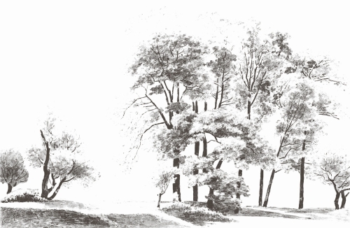 Bomen-VE126-1.jpg