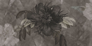 Tapeta RIMURA Botany VE084-1