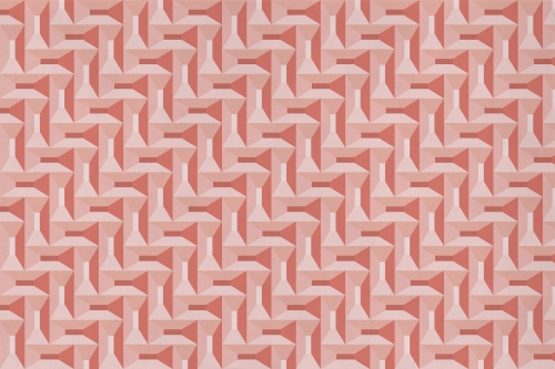 Coral-VE035-1.jpg