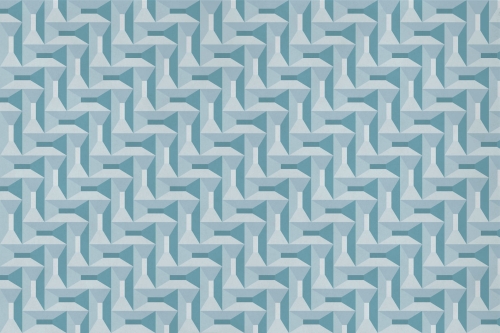 Coral-VE035-2.jpg