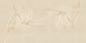 Tapeta RIMURA Creazione AP025-2