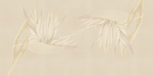 Creazione-AP025-2.jpg