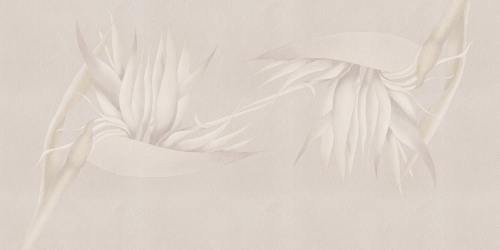 Creazione-AP025-3.jpg