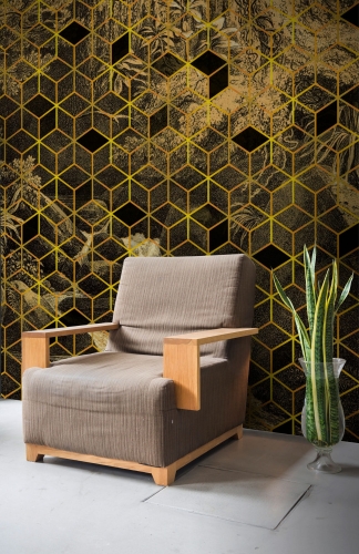 Cube-illusion-VE066-1..jpg