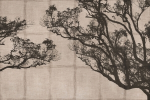 Tapeta RIMURA Dafne VE036-1